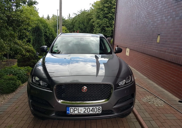 Jaguar F-Pace cena 119000 przebieg: 87000, rok produkcji 2016 z Głogów małe 46